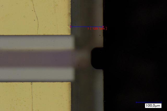 card-image